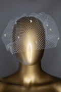 Ivory Dot Birdcage Veil Headpiece