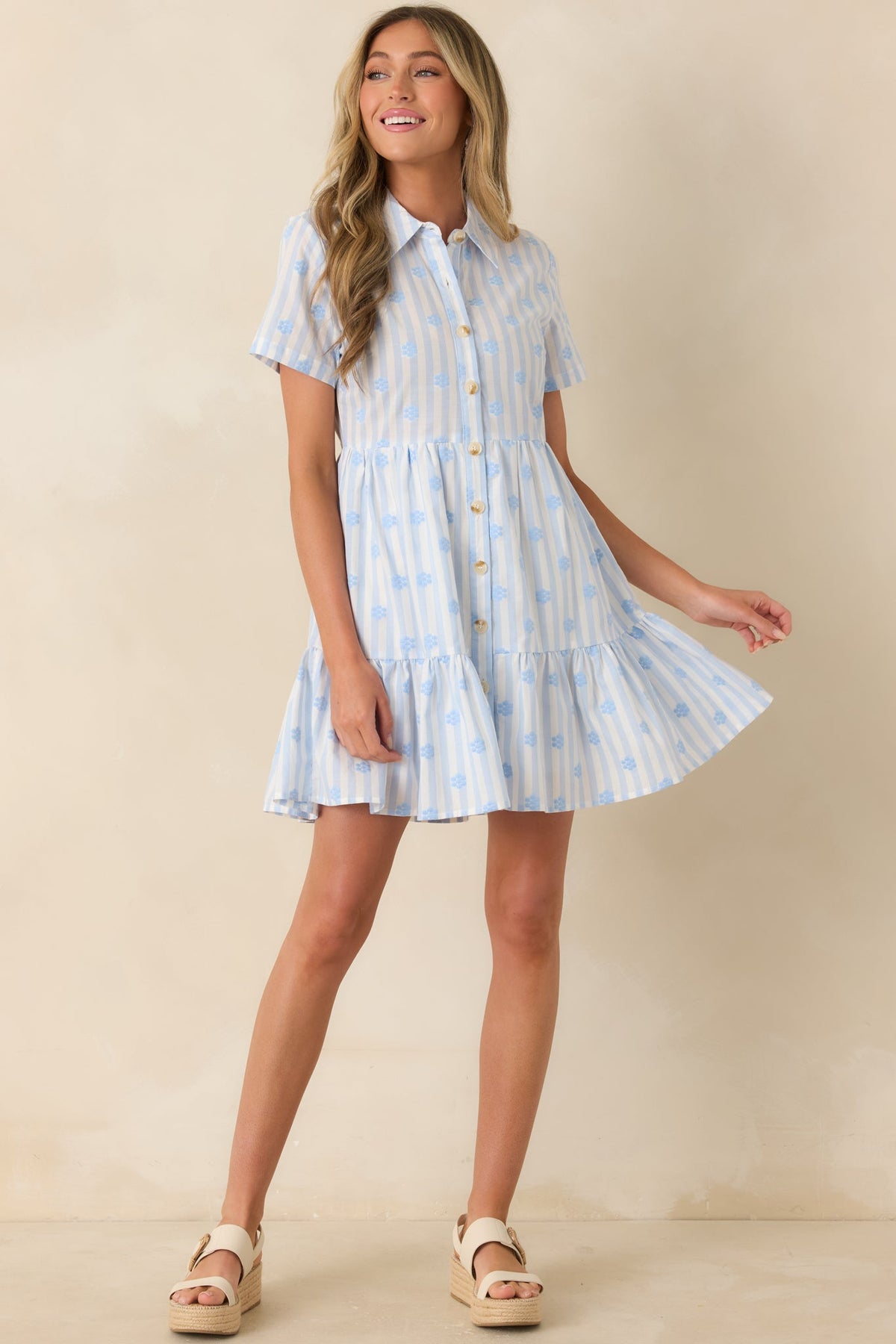 Market Days Blue Stripe Floral Embroidered Cotton Mini Dress
