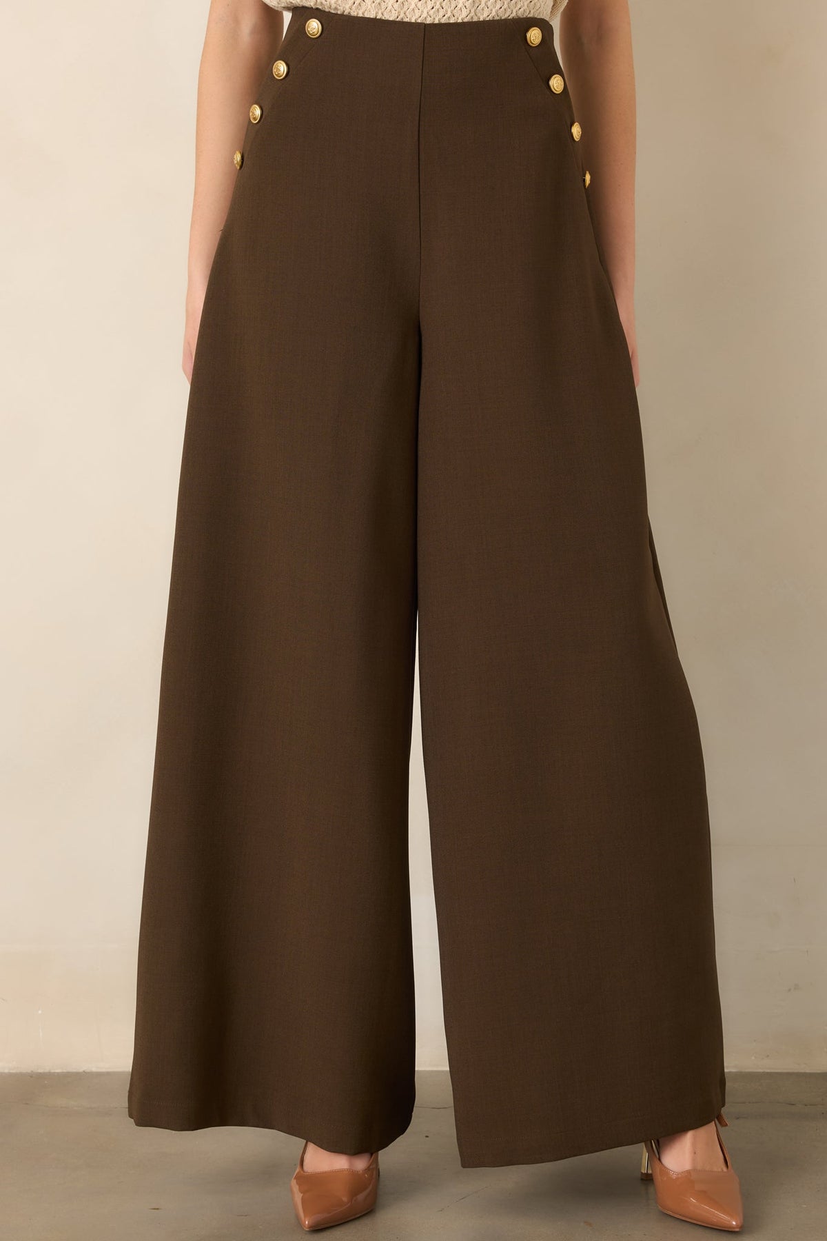 Chart the Course Dark Brown Wide Leg Button Pants