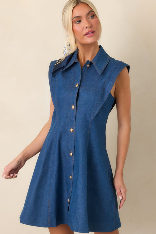 Anna Cate Albie Dark Wash Denim Button Front Mini Dress
