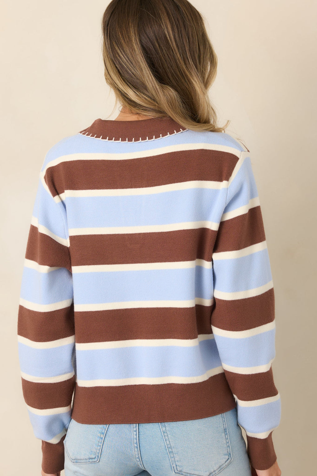 Day in, Day Out Blue & Brown Stripe Knit Collared Polo Top